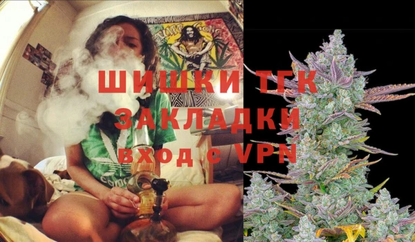 тгк Майский
